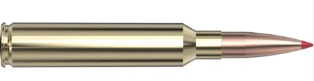 .300 PRC 174gr – 20rd