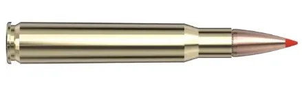 .30-06 Springfield 165gr SST – 20rd