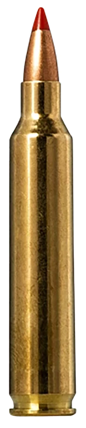Norma .204 Ruger 40gr V-MAX Brass – 20rd