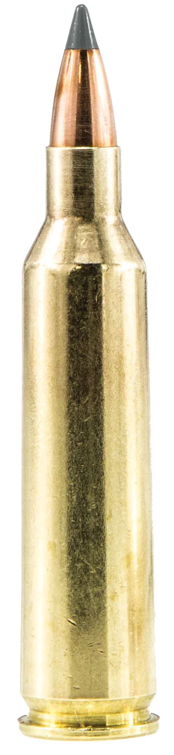 Sig Sauer .223 Remington 40gr – 20rd